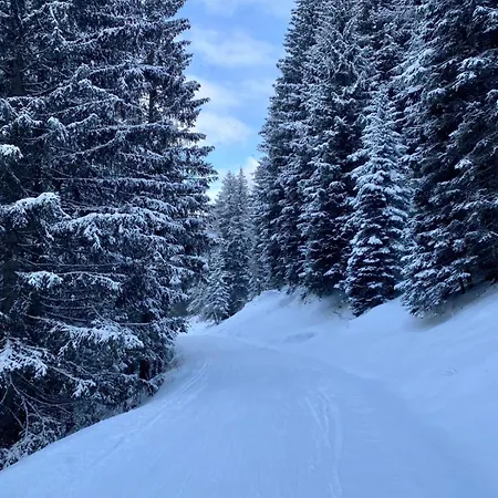 Johanna 2 Апартаменты