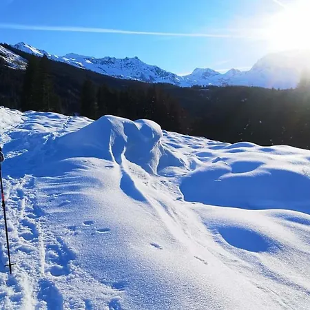 Apartment Johanna 2 Rauris