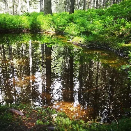 Апартаменты Johanna 2 *