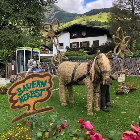 Apartment Johanna 2 Rauris