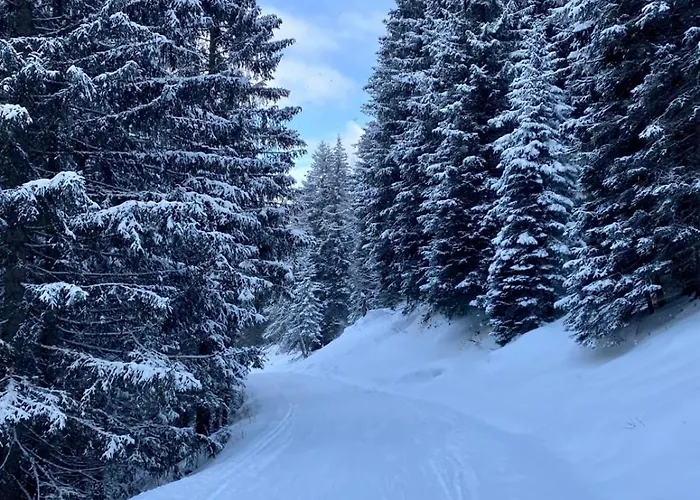 Johanna 2 Appartement