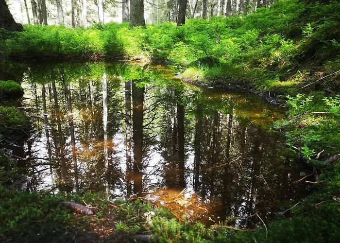 Appartement Johanna 2 *