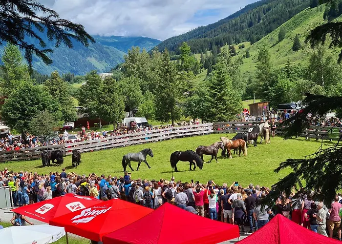 Appartement Johanna 2 *